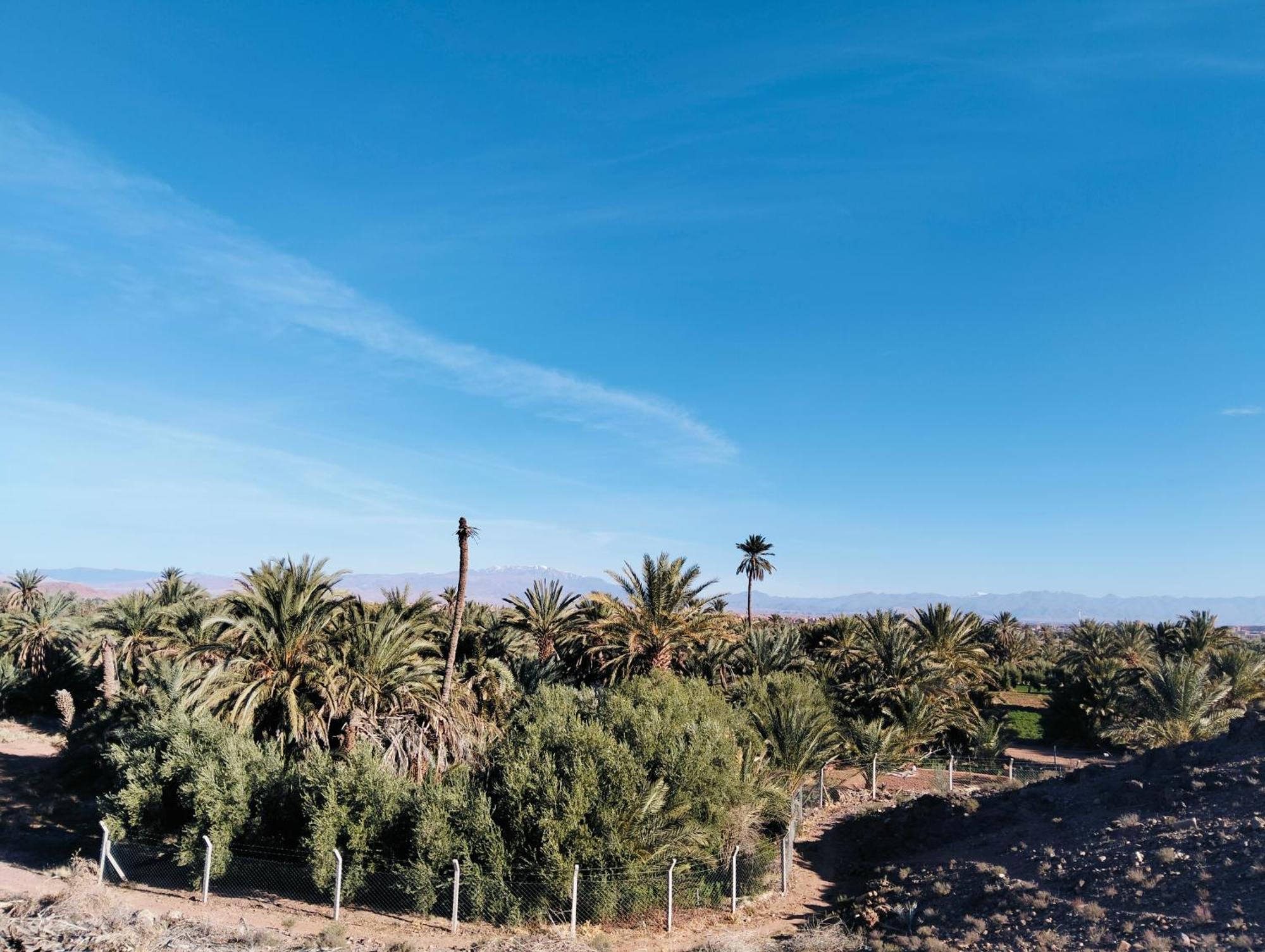 Palm View Palace Ouarzazate Room photo